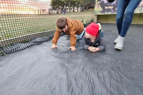 2025 Pumpkin Creek Farms